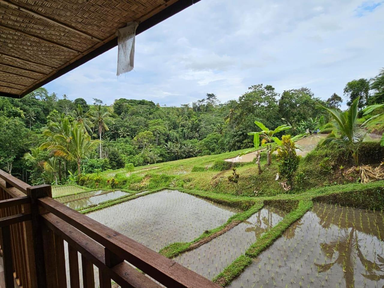 Umauthu Bali Villa Tabanan  Exterior photo